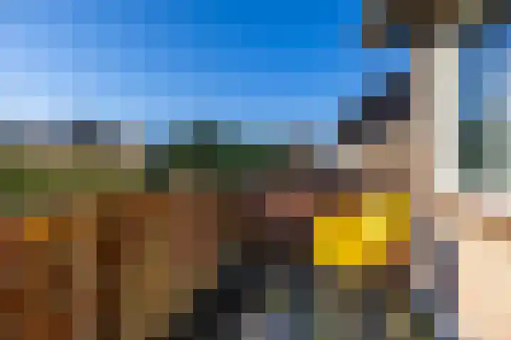 Wegalaan 40 Groningen thumbnail 28