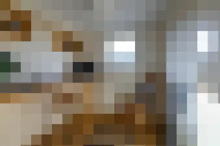 Wegalaan 40 Groningen thumbnail 29