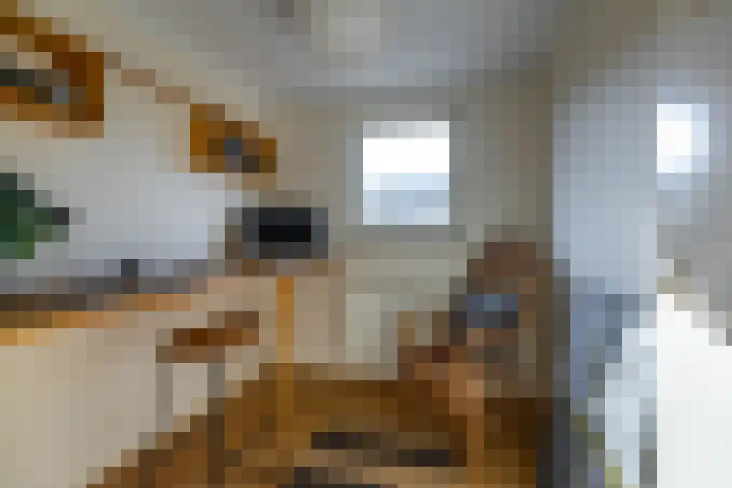 Wegalaan 40 Groningen thumbnail 29