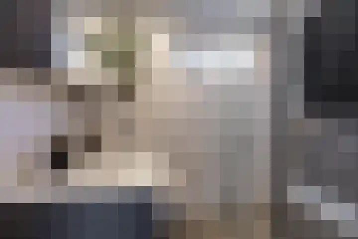 Wegalaan 40 Groningen thumbnail 31
