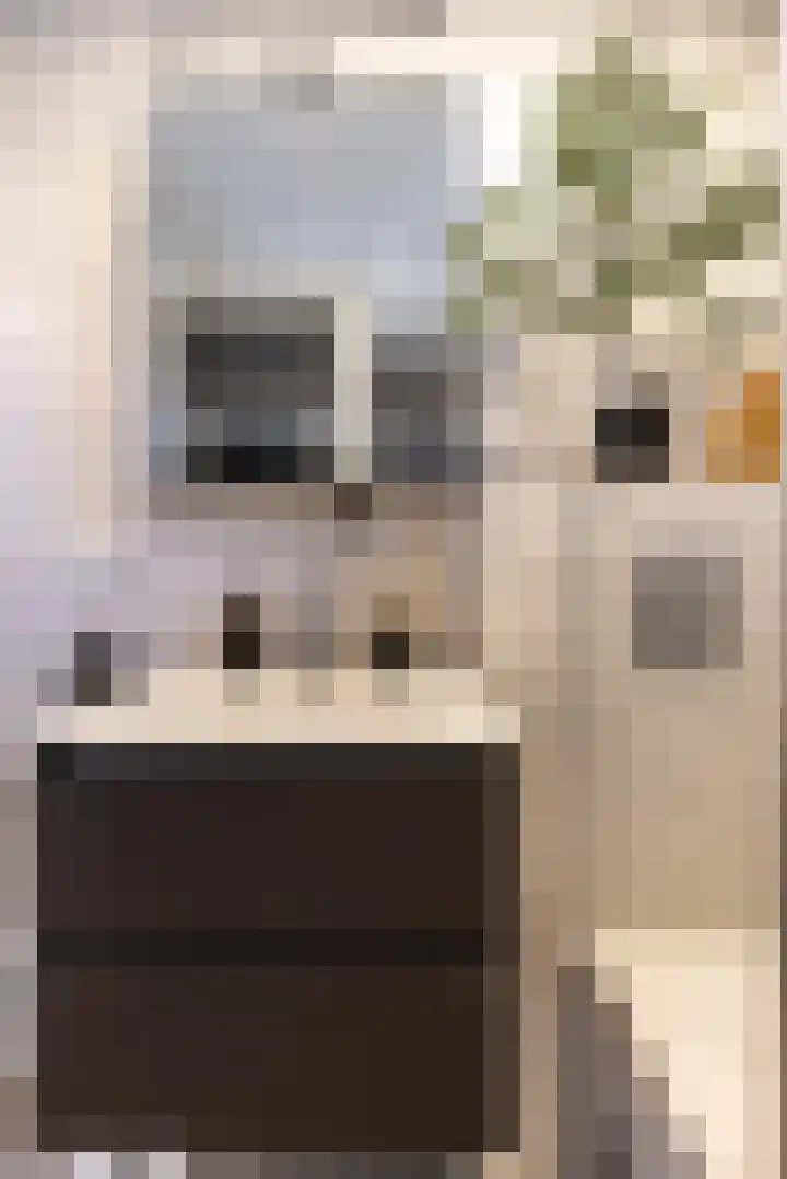 Wegalaan 40 Groningen thumbnail 33