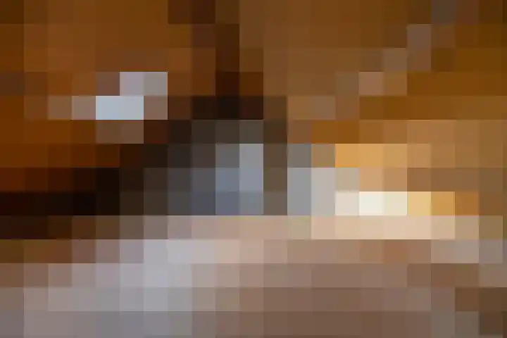 Wegalaan 40 Groningen thumbnail 35