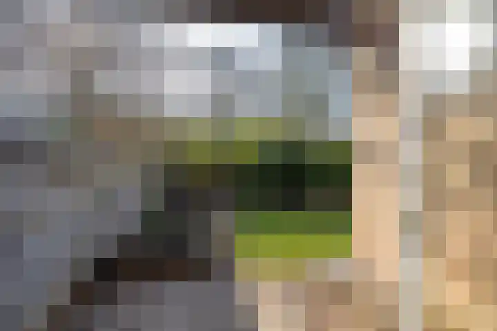 Wegalaan 40 Groningen thumbnail 37