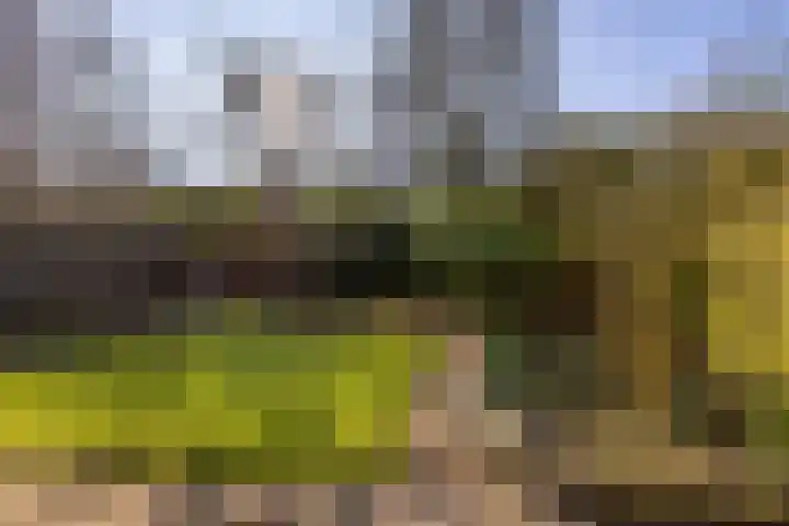Wegalaan 40 Groningen thumbnail 38