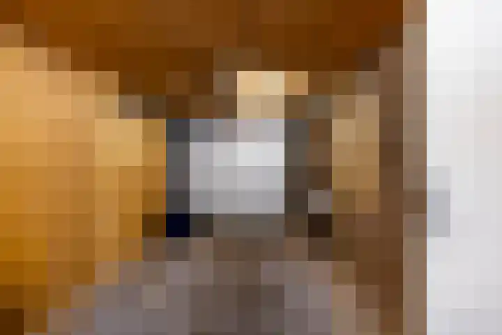 Wegalaan 40 Groningen thumbnail 39