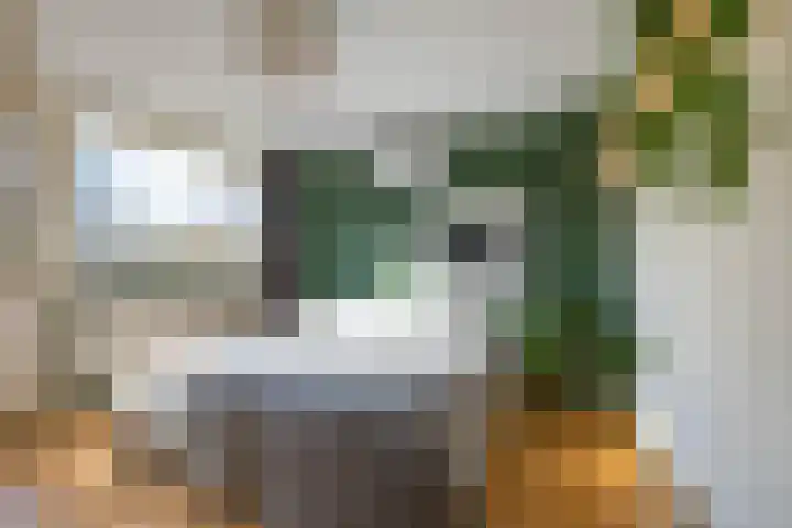 Wegalaan 40 Groningen thumbnail 4