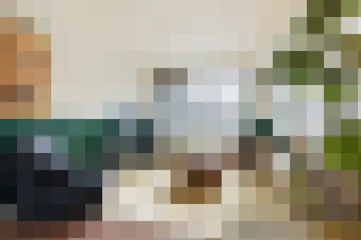 Wegalaan 44 Groningen thumbnail 11