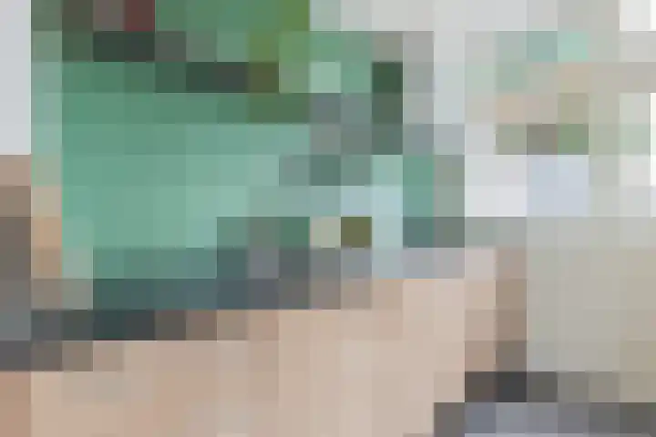 Wegalaan 44 Groningen thumbnail 19