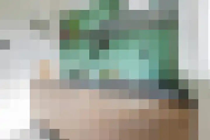 Wegalaan 44 Groningen thumbnail 20