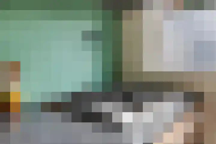 Wegalaan 44 Groningen thumbnail 21