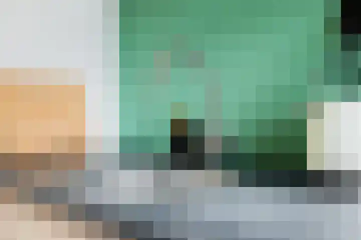 Wegalaan 44 Groningen thumbnail 22