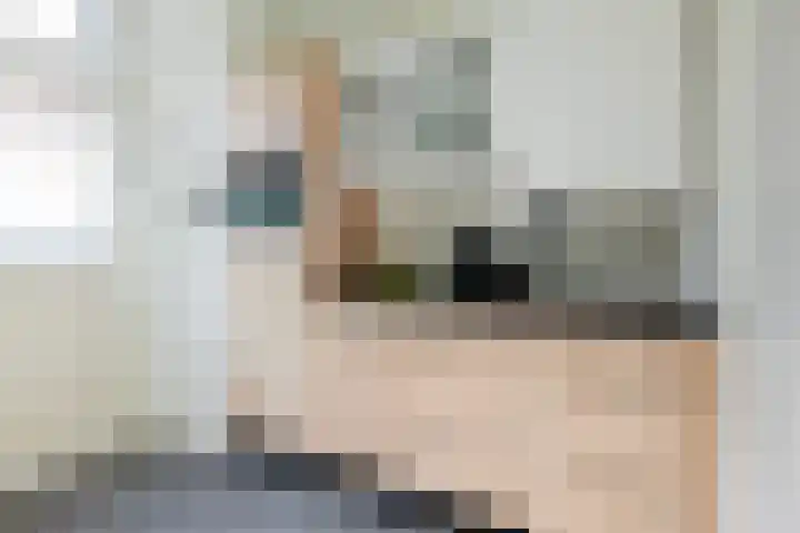 Wegalaan 44 Groningen thumbnail 24