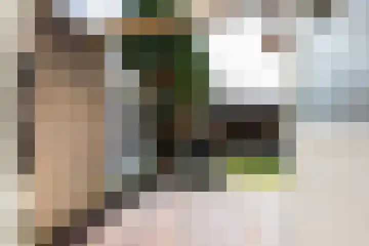 Wegalaan 44 Groningen thumbnail 26