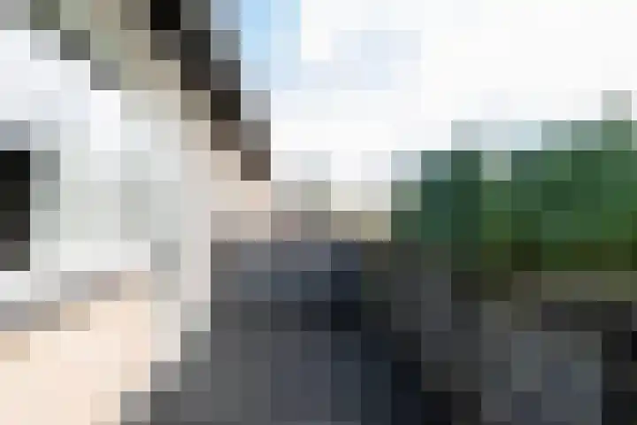 Wegalaan 44 Groningen thumbnail 37