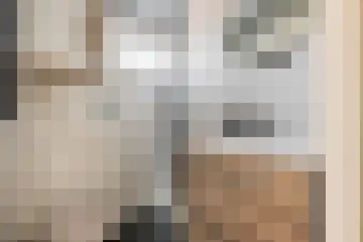 Wegalaan 44 Groningen thumbnail 40