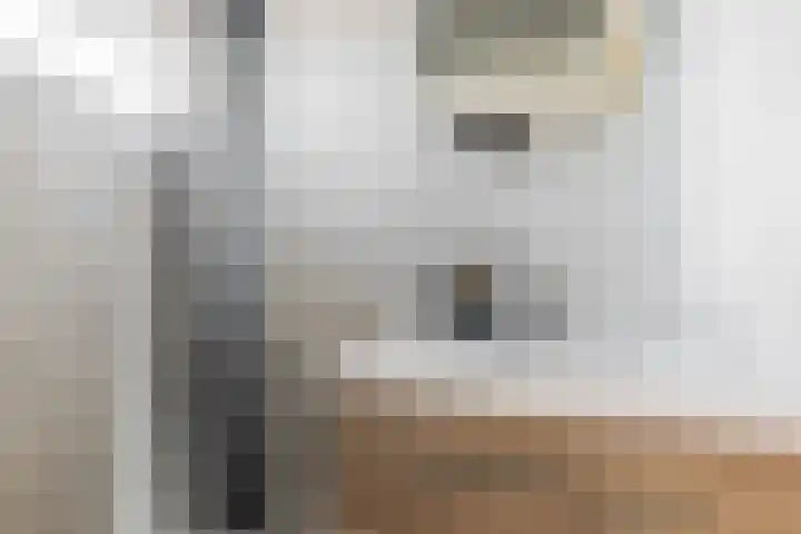 Wegalaan 44 Groningen thumbnail 41