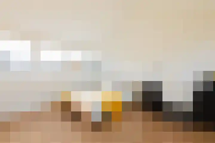Wegalaan 44 Groningen thumbnail 48