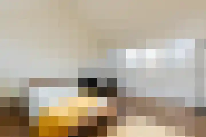 Wegalaan 44 Groningen thumbnail 49