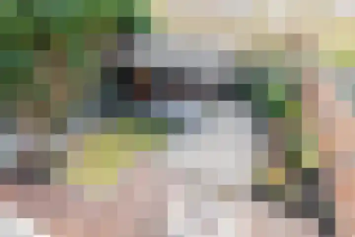 Wegalaan 44 Groningen thumbnail 5