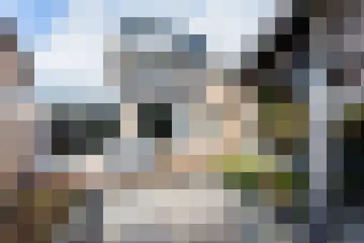 Wegalaan 44 Groningen thumbnail 52