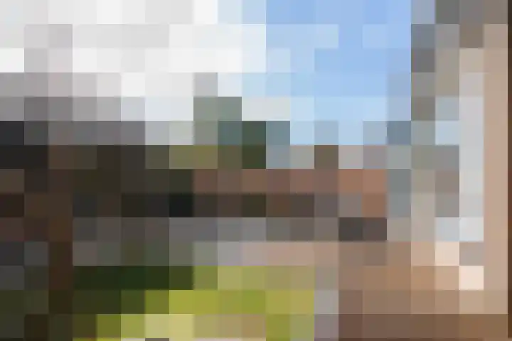 Wegalaan 44 Groningen thumbnail 53