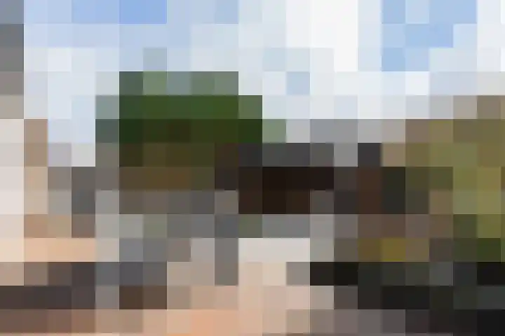 Wegalaan 44 Groningen thumbnail 54