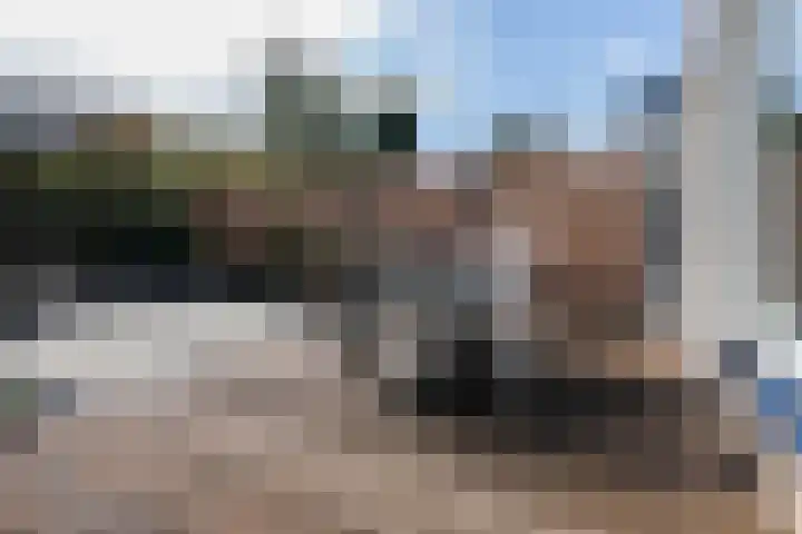 Wegalaan 44 Groningen thumbnail 55