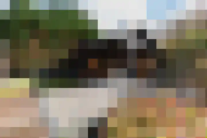 Wegalaan 44 Groningen thumbnail 56