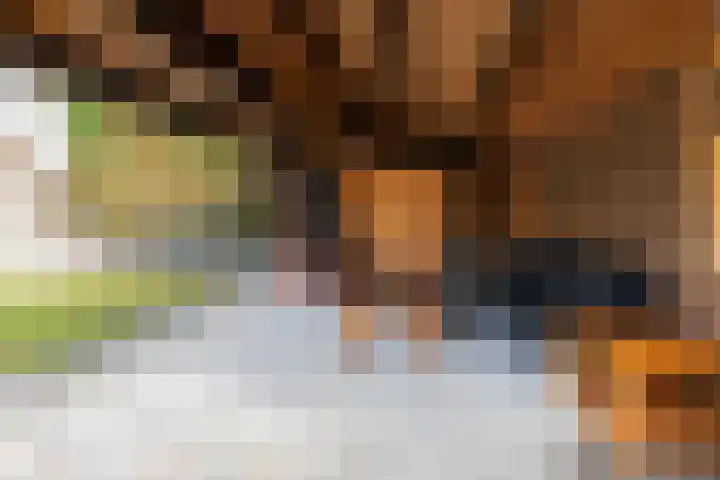 Wegalaan 44 Groningen thumbnail 57