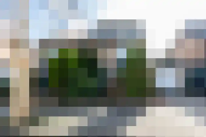 Wegalaan 44 Groningen thumbnail 6