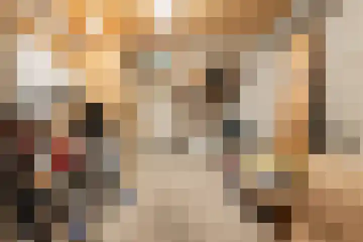 Wegalaan 44 Groningen thumbnail 60