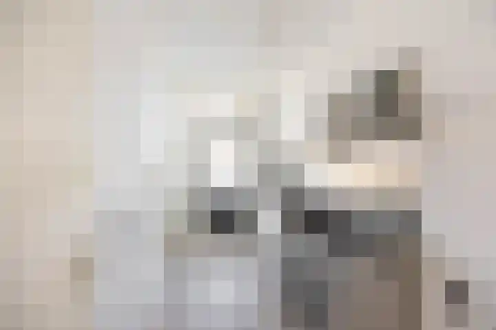 Wegalaan 65 Groningen thumbnail 15