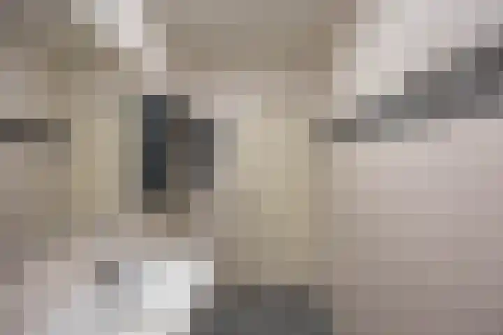 Wegalaan 65 Groningen thumbnail 29