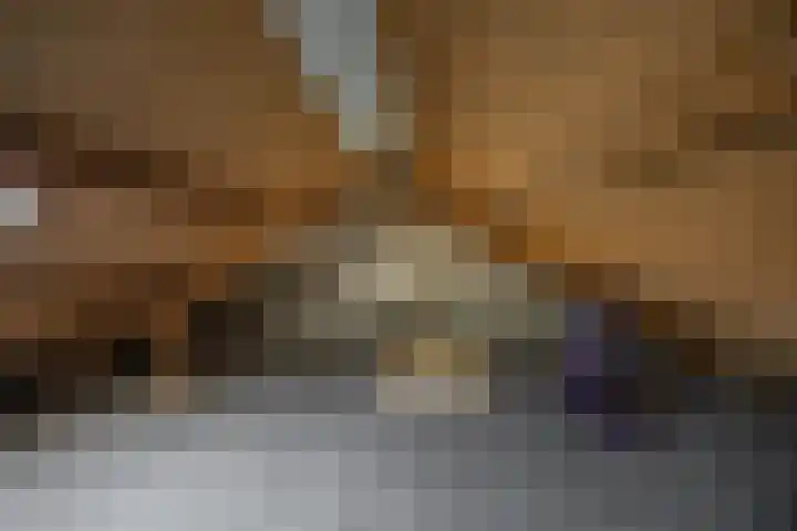 Wegalaan 65 Groningen thumbnail 31