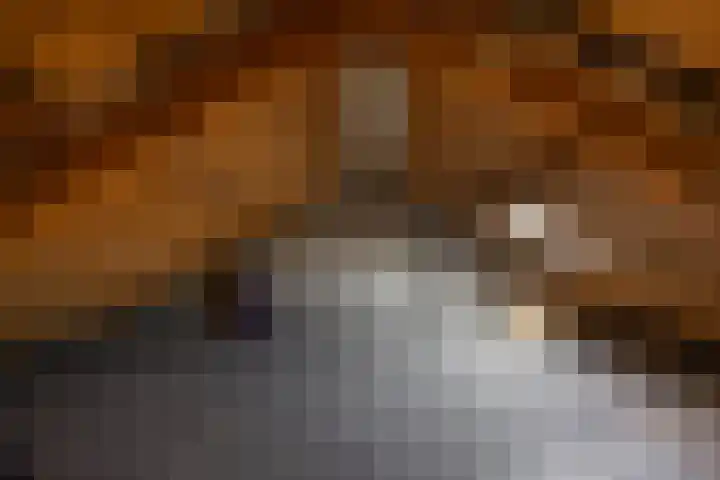 Wegalaan 65 Groningen thumbnail 32