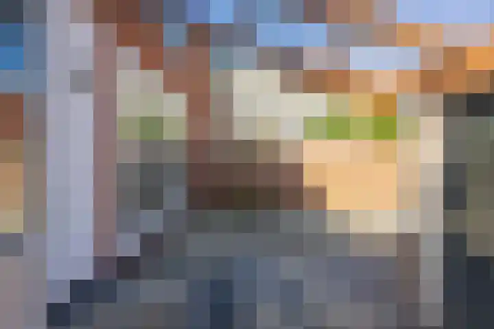 Wegalaan 65 Groningen thumbnail 34