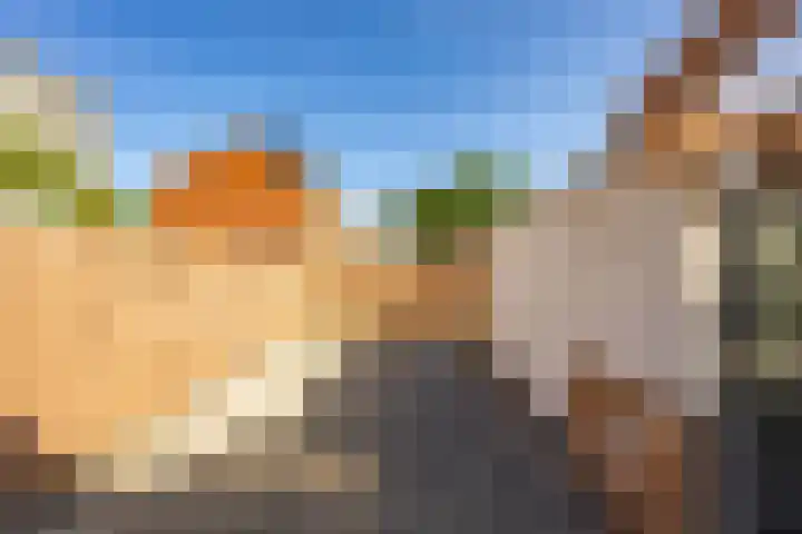 Wegalaan 65 Groningen thumbnail 35