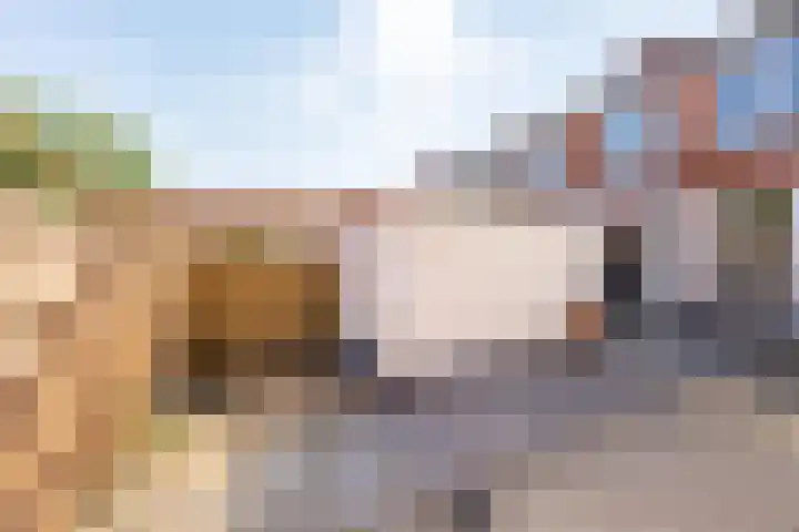 Wegalaan 65 Groningen thumbnail 36