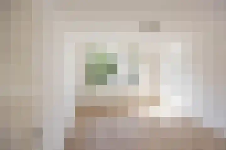 Wegalaan 65 Groningen thumbnail 4