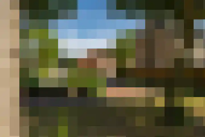 Wegalaan 65 Groningen thumbnail 5