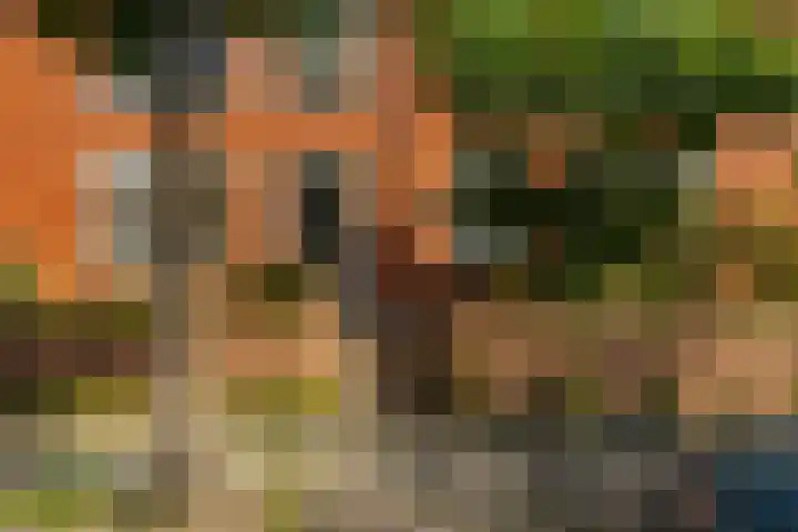 Wegalaan 65 Groningen thumbnail 7
