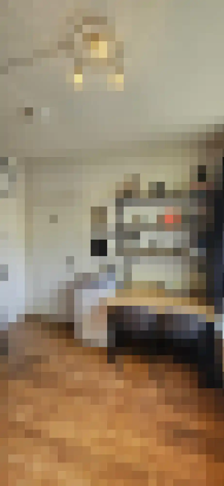 Wegalaan Groningen thumbnail 4