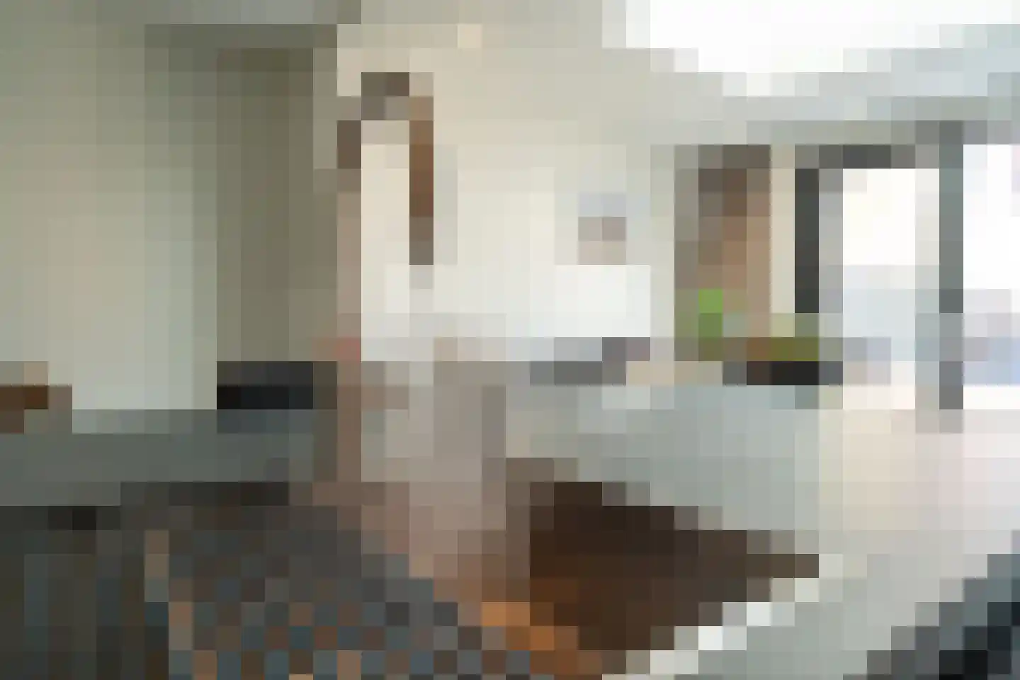 Wegaplein 3 Oude-Tonge thumbnail 20