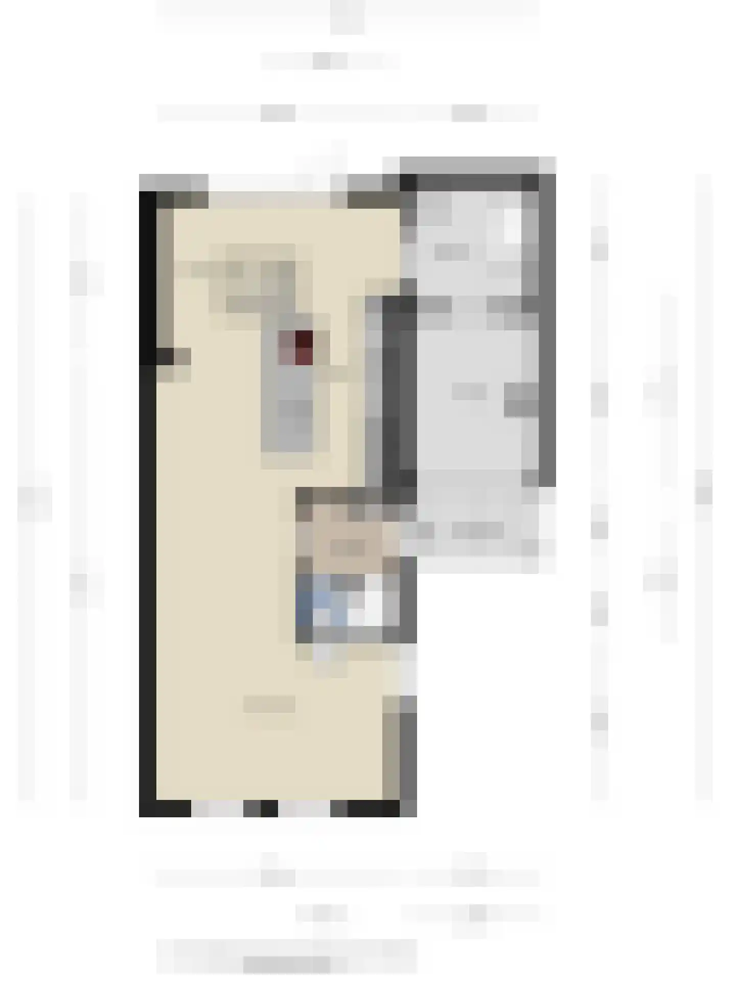 Wegaplein 3 Oude-Tonge thumbnail 26