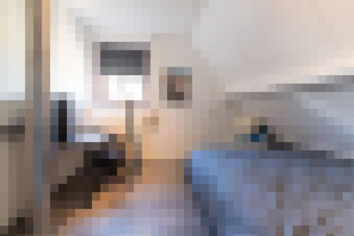 Wegaplein 3 Oude-Tonge thumbnail 26