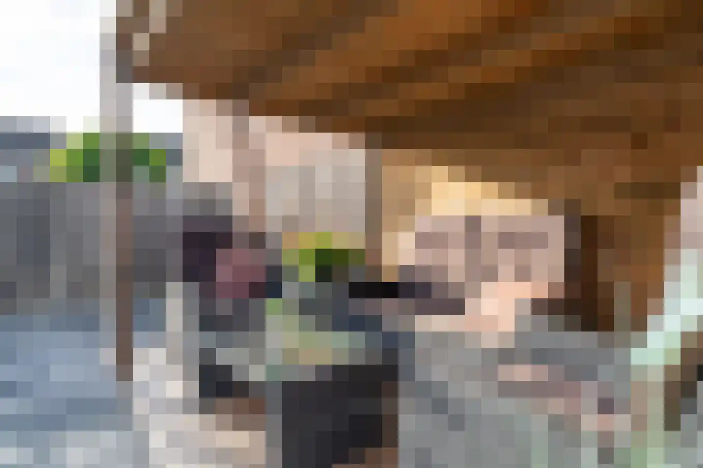 Wegaplein 3 Oude-Tonge thumbnail 37