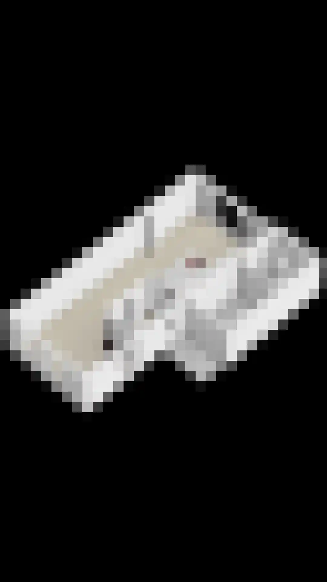 Wegaplein 3 Oude-Tonge thumbnail 45