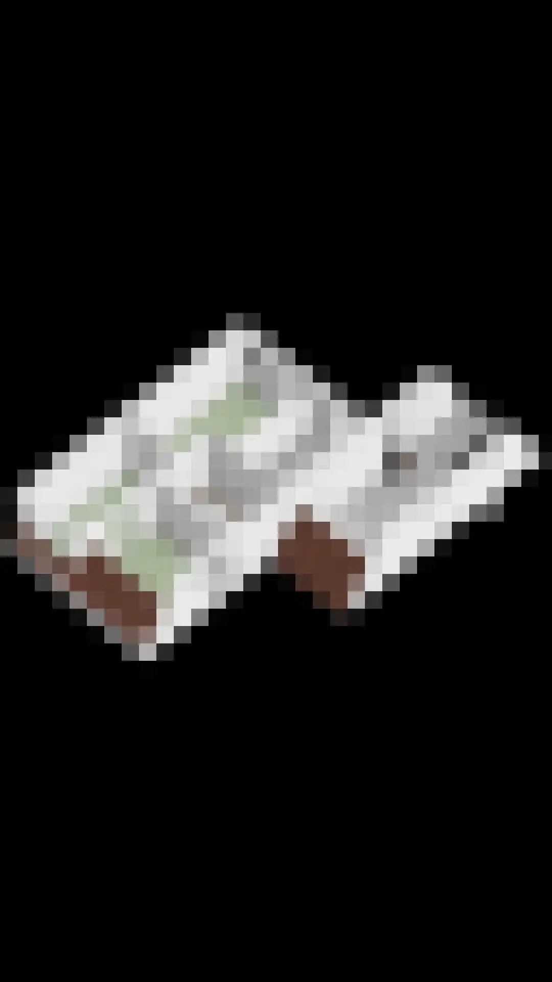 Wegaplein 3 Oude-Tonge thumbnail 46