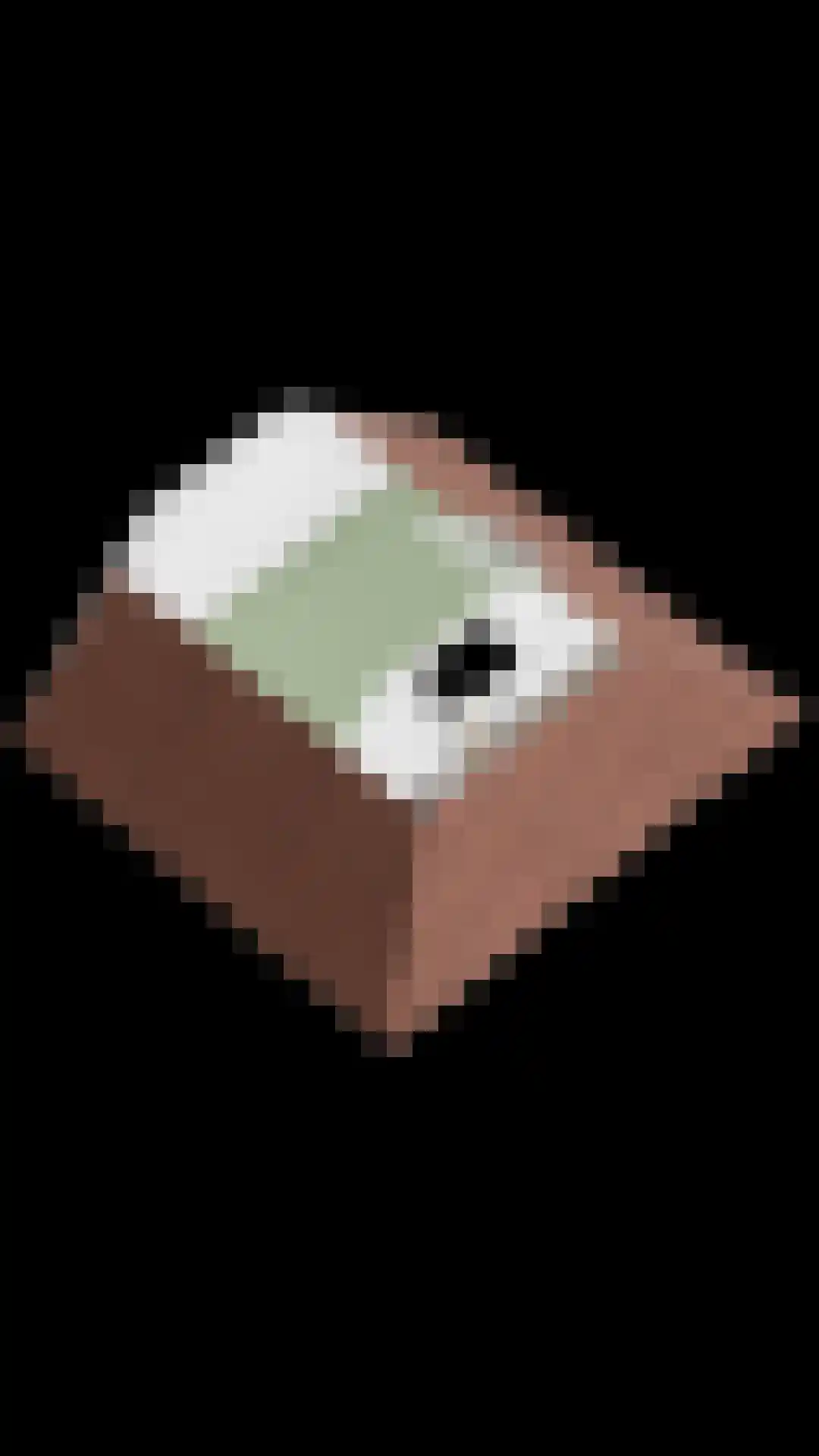 Wegaplein 3 Oude-Tonge thumbnail 47