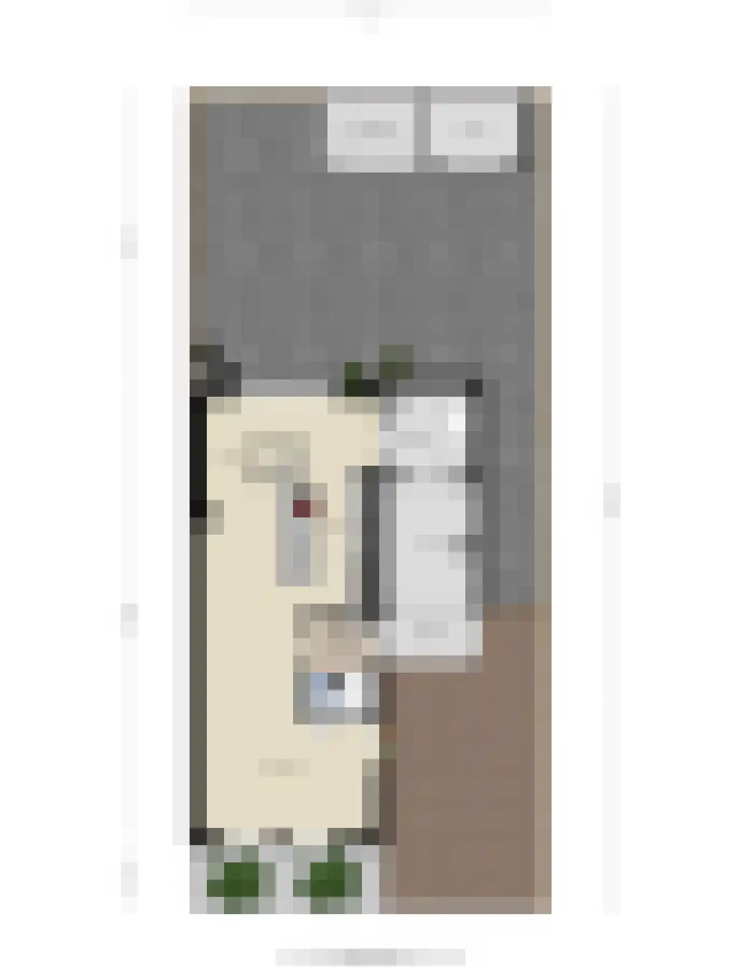 Wegaplein 3 Oude-Tonge thumbnail 48